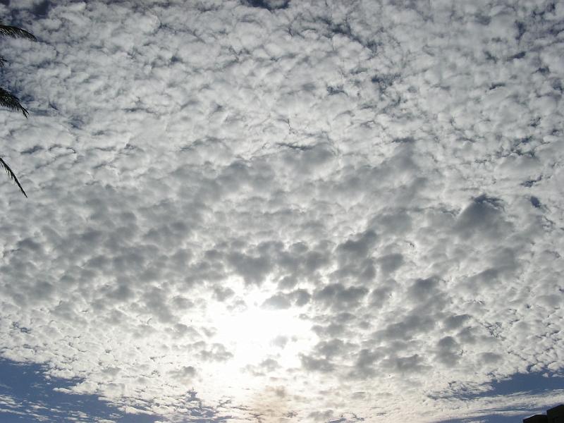 heaven can wait 16.jpg